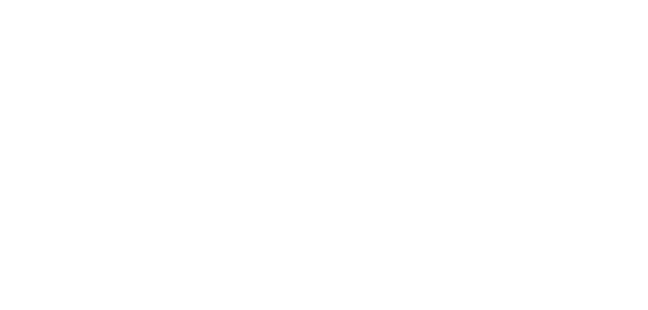 Insyte Consulting
